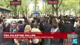 Thousands of demonstrators join banned pro-Palestinian march in Paris • FRANCE 24 English