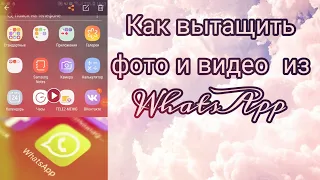 Как вытащить фото и видео из WhatsApp