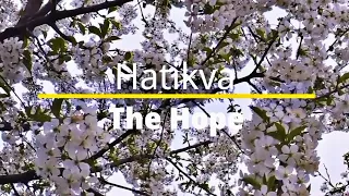 Selah Moment: Hatikva (The Hope)