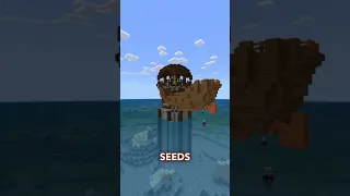 Worlds most glitched Minecraft Seed in HISTORY