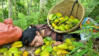 Harvest Starfruit - Unfortunately, you slipped and fell, Processing process & Long-term preservation