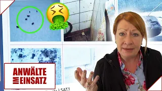 Unglaublich! 🤢 EKEL-KAMPAGNE gegen Cafebetreiberin Nathalie | 2/2 | Anwälte im Einsatz | SAT.1