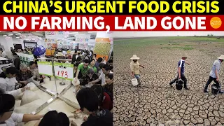 China’s Urgent Food Crisis: No One Farms, Farmland Gone, Frequent Disasters, High Import Reliance