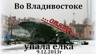 Во Владивостоке ОПЯТЬ упала ёлка 09/12/2013