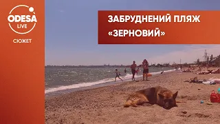 Забруднений пляж «Зерновий»: як врятувати місце відпочинку?