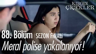 Meral polise yakalanıyor! - Kırgın Çiçekler 88. Bölüm | Sezon Finali