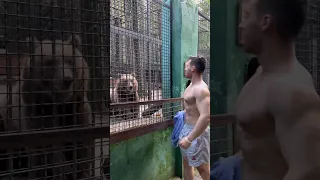 Bear reaction to bodybuilder 😎 vs 🐻