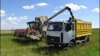 Уборочная 2020:Комбайны Claas Lexion 770, 760 ,580 ,540 молотят озимый рапс в СПК "Гигант"