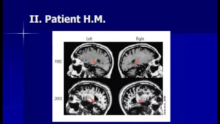 The Neuroscience of Memory