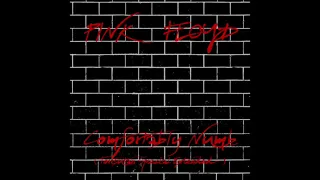 Pink Floyd - Comfortably Numb (Torisutan Special Extended)
