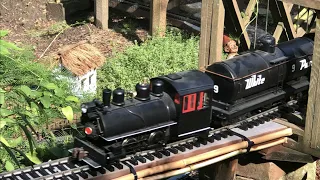 Garden Railway In The Forest! Thomas The Tank Engine, Steam Trains, Railroad Bridges & Model Trains!