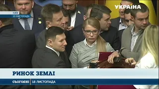 Тимошенко: Закон про ринок землі без референдуму суперечить конституції України