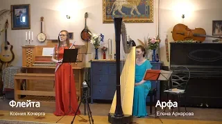 Арфа и флейта - Нескучный замок Краснодар