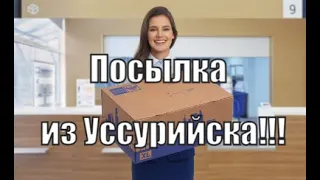 Снова про китайские редуктора и посылка из Уссурийска!