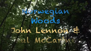 NORWEGIAN WOOD - John Lennon & Paul McCartney* Gentle Resonance    A 432 Hz* Yvonne Timoianu - Cello