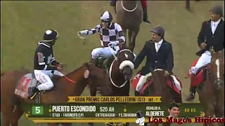 "Gran Premio Carlos Pellegrini" - 17-12-2017 - San Isidro - Puerto Escondido