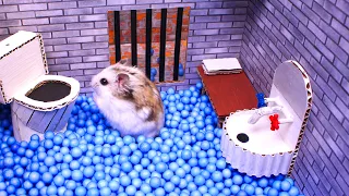 🐹Hamster escapes the awesome maze for Pets in real life 🐹 in Hamster stories Part 2