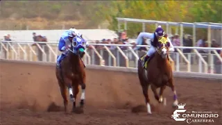 La Picara Vs. El Rey. Satevo Racetrack, CHIH.