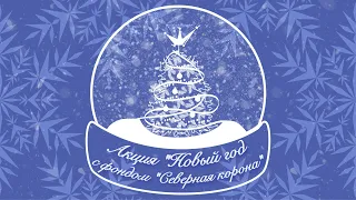 ❄️Всероссийская акция «Новый год с фондом «Северная Корона»❄️