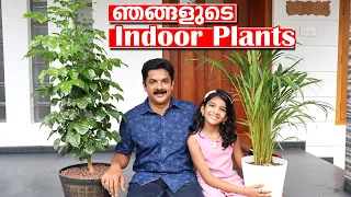 ഞങ്ങളുടെ വീട്ടിലെ ഇൻഡോർ പ്ലാൻറ്സ് കാണാം | My Dream Homes Indoor Plants | Deepu Ponnappan