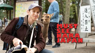 We Visited Deer Heaven and it was Amazing! (Nara Japan)