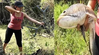 Amazing Girl BowFishing Huge Snakehead So Awesome