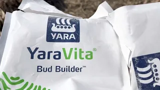 Yaravita bud builder for wheat