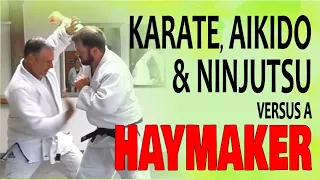 KARATE, AIKIDO & NINJUTSU VERSUS A WILD HAYMAKER PUNCH