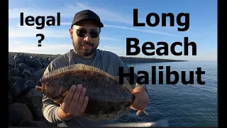 Long Beach Halibut Fishing, Ballast Point,  Marina del Rey almost legal spotty