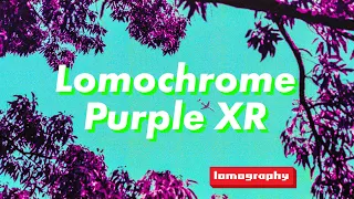See The World in Purple - Lomography Lomochrome Purple XR Film Review