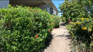 Retirement home gardens need a clean up