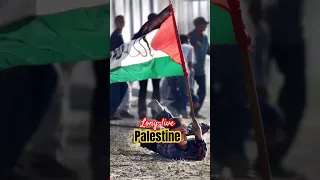 Long-Live Palestine 🇵🇸 : Exposing Israeli War Crimes