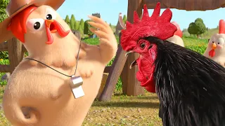 Crazy Funny Chicken Dance - Funny Chicken Song (Official Video A Ring Ding Ding)