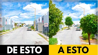 ¿Cómo REFORESTAR Rápidamente Nuestras Ciudades? || Urbanópolis