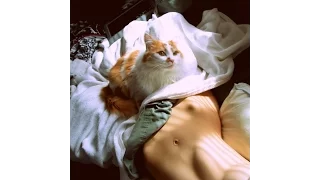 Смешные картинки про кошек и котят Выпуск № 1  FUNNY CATS СМЕШНЫЕ КОШКИ
