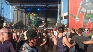 The Vandals - Amazing Queen Cover (Don't Stop Me Now) @ Sabroso Fest 2018 HD