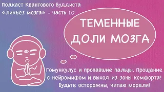 Теменные доли мозга. Нейромиф: визуалы, аудиалы и кинестетики. Гомункулус и непризнанные пальцы!