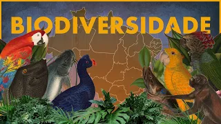 A biodiversidade é importante?