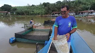 COMPREI TODA A CRIAÇÃO DE PEIXES DO MEU IRMÃO