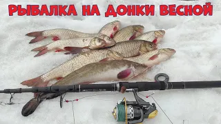 РЫБАЛКА НА ДОНКИ ВЕСНОЙ!