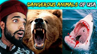 Villagers React To The Most DANGEROUS ANIMALS In The UNITED STATES ! Tribal People React To