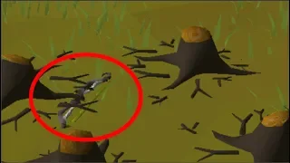 The Runescape update which dropped twisted bows on the ground