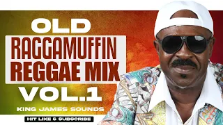 🔥 OLD RAGGAMUFFIN REGGAE MIX {PETER ANDRE, BUJU BANTON, CHAKA DEMUS AND PLIERS} - KING JAMES