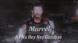 Marvel || Na Na Hey Hey Goodbye