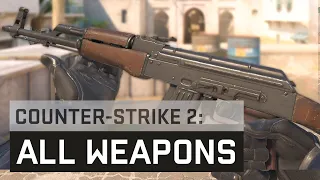 All Weapons + Grenades in Counter Strike 2. Source 2 Engine