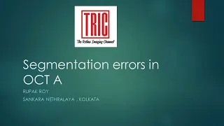 OCTA segmentation errors: How to correct