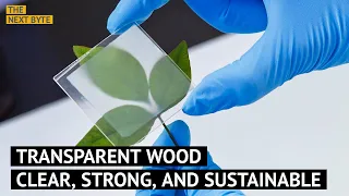 Transparent Wood – The Clear, Strong, and Sustainable Material