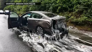 Truck full of slime eels crashes on Highway 101