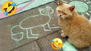 Funniest Animals 2024 😻 Best Funny Cats and Dogs Videos 😍🐶 #8