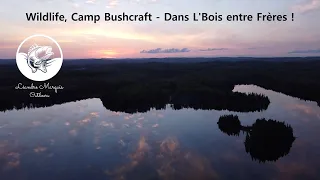 Wildlife, Camp Bushcraft - Dans L'Bois entre Frères, 4K
